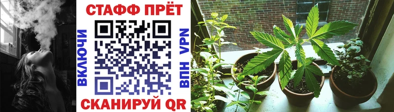 Сколько стоит Бавлы блэк спрут ссылка  Галлюциногенные грибы  Меф  Конопля 