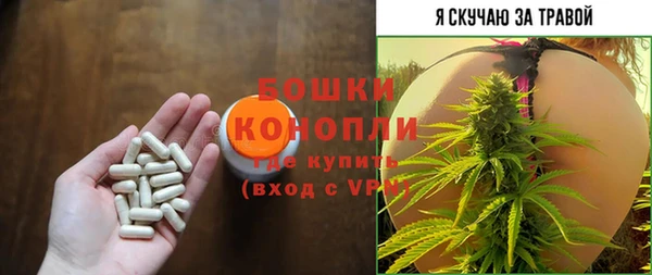 трава Армянск